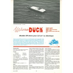 Article Micro Duck